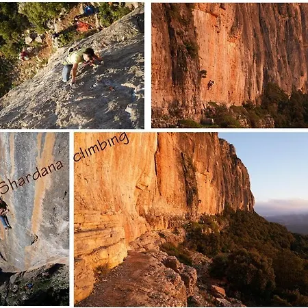 Shardana Blu - Net Zero *