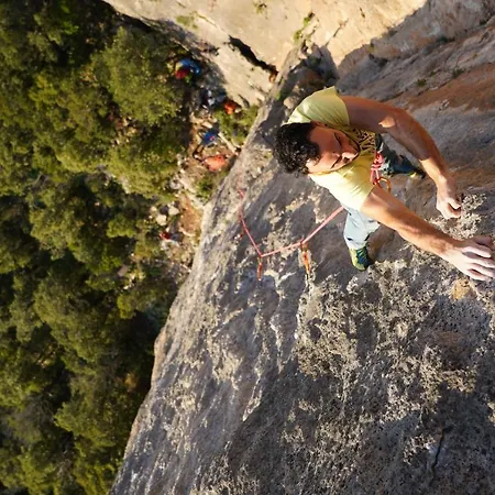 Shardana Blu - Net Zero Girasole