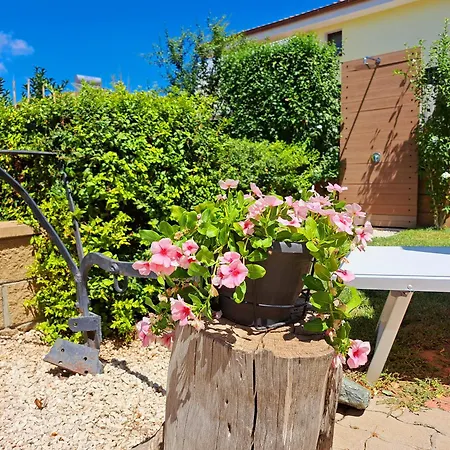 Appartement Shardana Blu - Net Zero