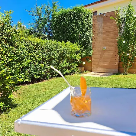 Shardana Blu - Net Zero *