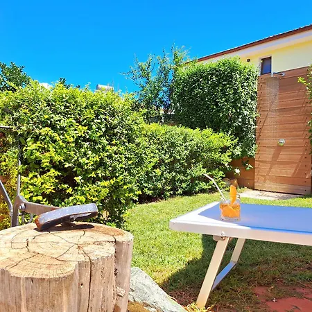 Shardana Blu - Net Zero * Girasole