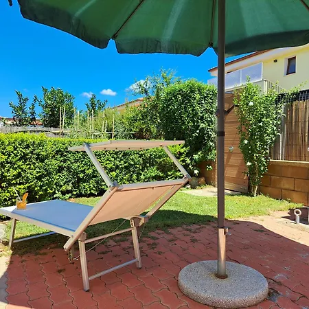 Shardana Blu - Net Zero * Girasole