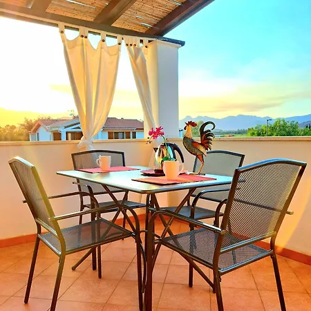 Shardana Blu - Net Zero Girasole