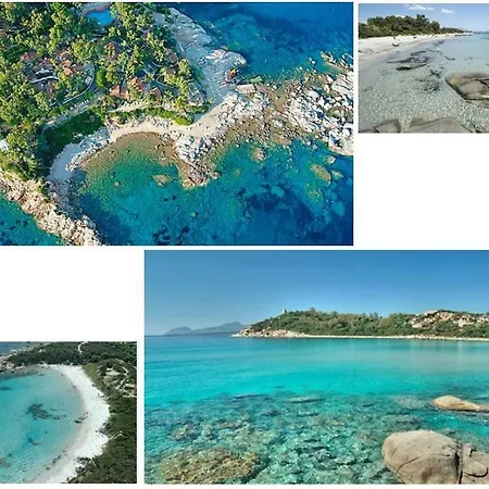 Shardana Blu - Net Zero Girasole