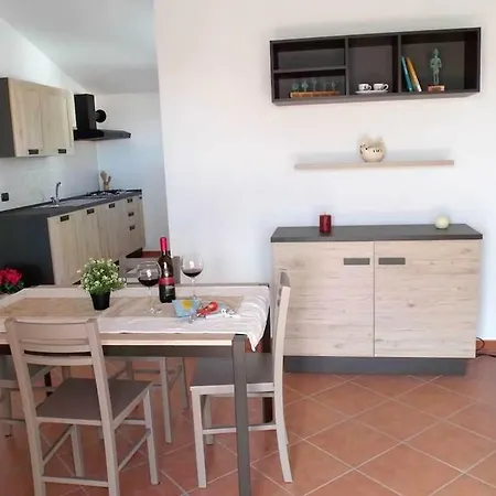 Shardana Blu - Net Zero *