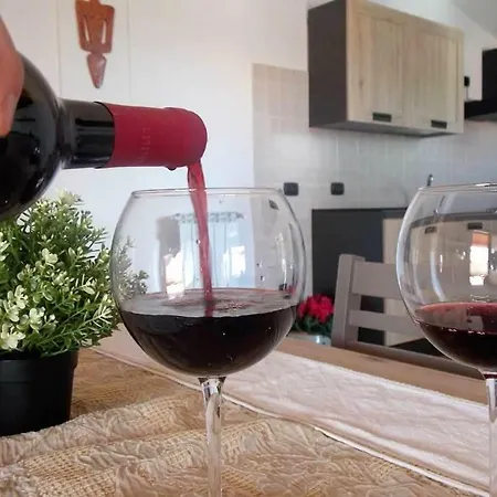 Shardana Blu - Net Zero * Girasole