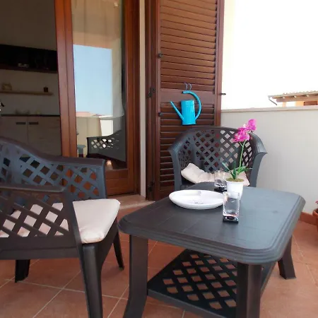 Shardana Blu - Net Zero