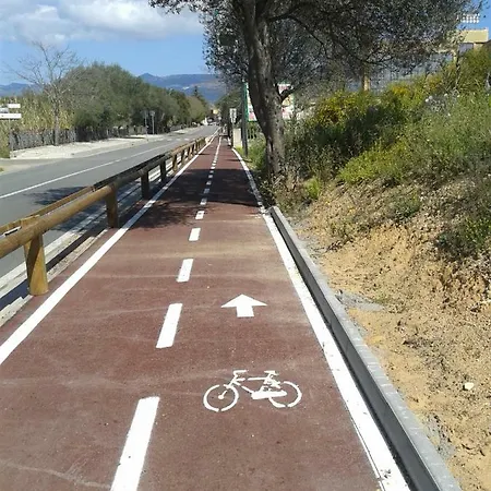 Shardana Blu - Net Zero * Girasole