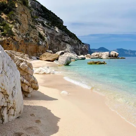 Shardana Blu - Net Zero * Girasole