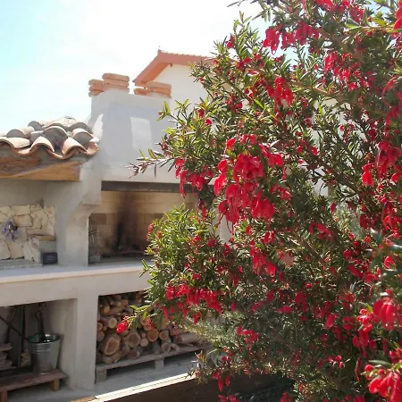 Shardana Blu - Net Zero Apartman