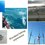 Shardana Blu - Net Zero Apartment Girasole