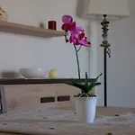Apartment Shardana Blu - Net Zero