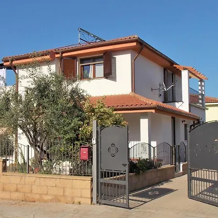 Shardana Blu - Net Zero Girasole