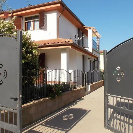 Shardana Blu - Net Zero *