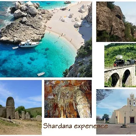Shardana Blu - Net Zero Girasole