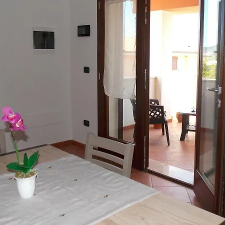 Shardana Blu - Net Zero * Girasole